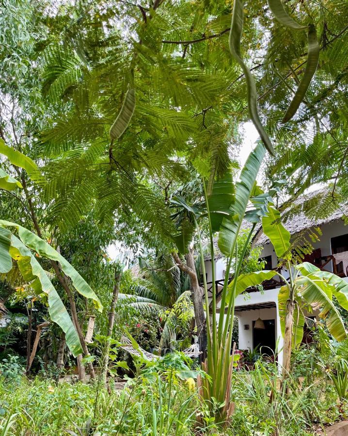Atii Garden Bungalows 눙귀 외부 사진