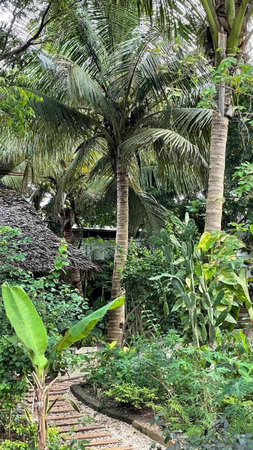 Atii Garden Bungalows 눙귀 외부 사진