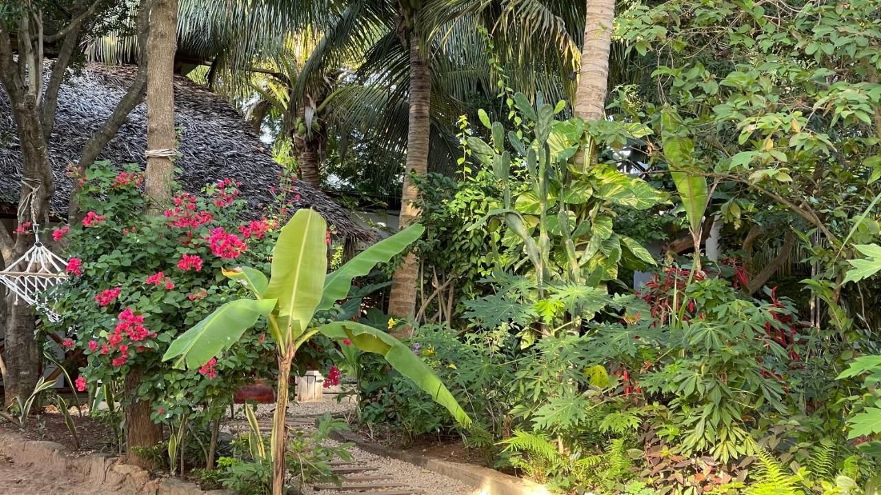 Atii Garden Bungalows 눙귀 외부 사진