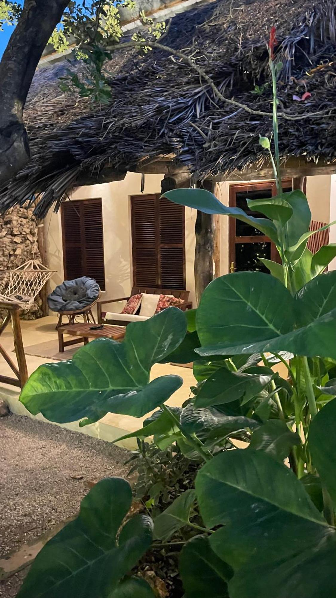 Atii Garden Bungalows 눙귀 외부 사진