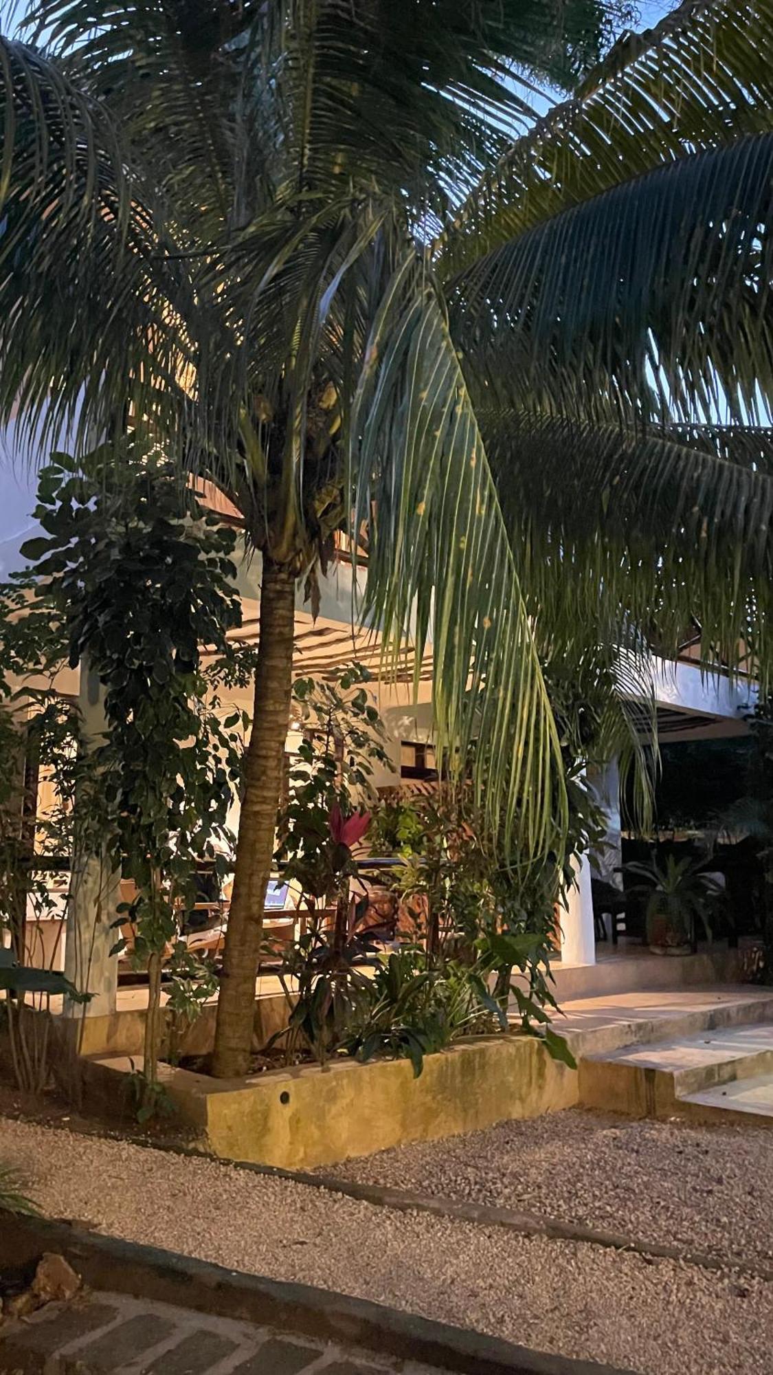 Atii Garden Bungalows 눙귀 외부 사진