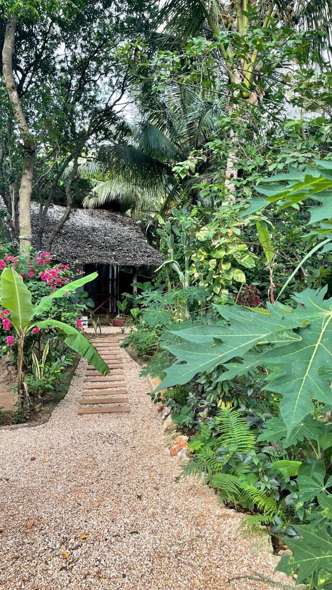 Atii Garden Bungalows 눙귀 외부 사진
